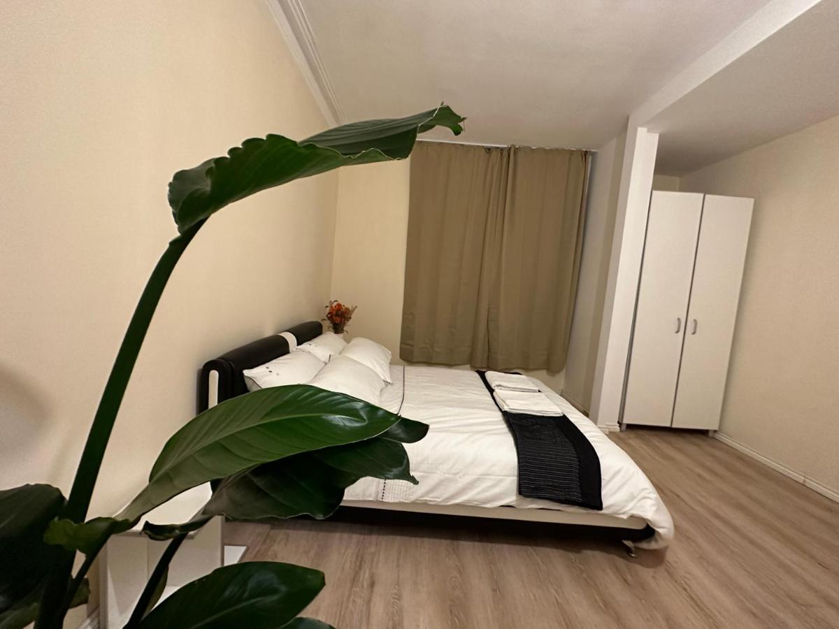 North London A Spacious 7 Bedroom House Accommodating Up To 18 People Complete With Own Gym And Table Tennis Екстериор снимка